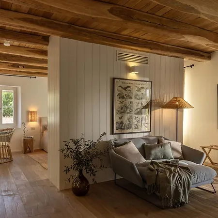 Luxury Istrian Stone Catalpa With Heated Pool, Large Private Retreat Villa Prascari